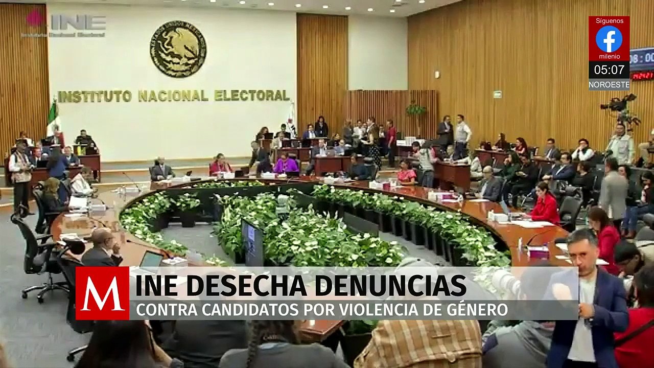 Consejera del INE rechaza que acusados de acoso o pensión alimentaria ocupen cargos