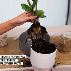 From a boring flower pot to a fancy one! 😍