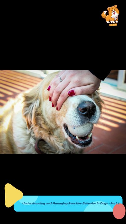 Causes | S1261 #cute  #cutedog #dog #cutedog #dogs #cute #shorts #youtubeshorts #tiktok #puppy #pe