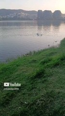 Rosat po lahen brenda ne liqen