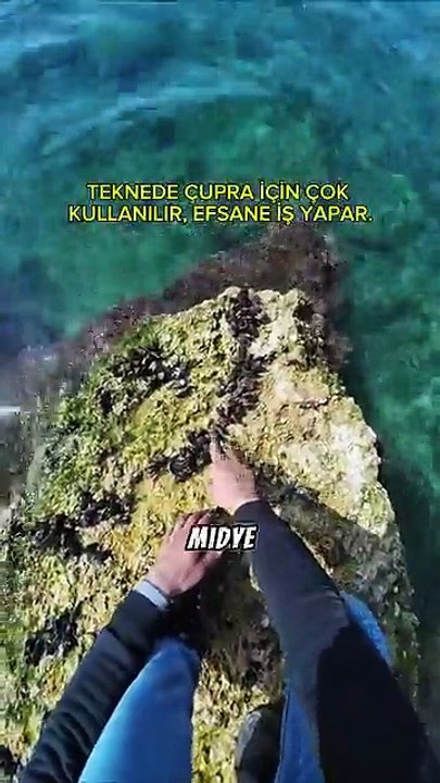merayı yemleme sonrası müthiş