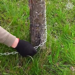 A simple hack to pull out trees!
