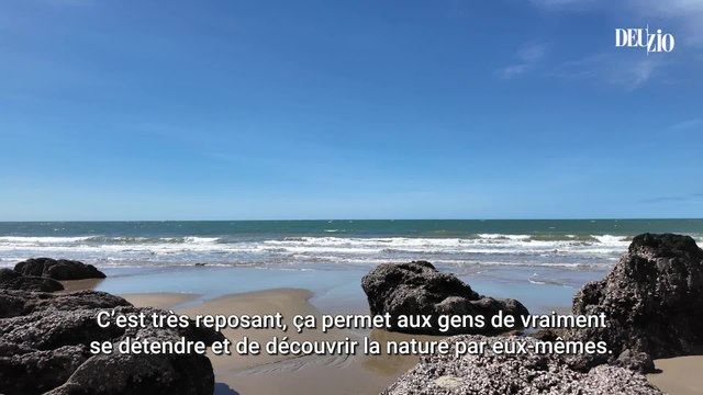Mission Beach : là où la forêt tropicale rejoint la mer de Corail