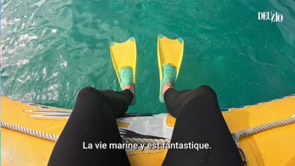 Grande Barrière de corail : au chevet d’un géant vivant