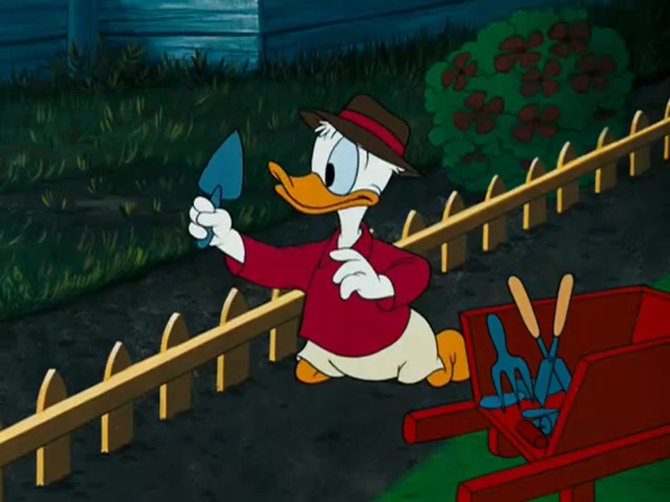 The New Neighbor 1953