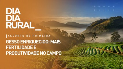 Gesso enriquecido: mais produtividade e fertilidade no campo