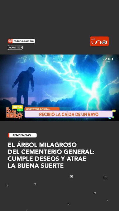 ARBOL MILAGROSO