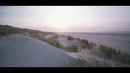 Entspannendes Meeresrauschen mit Möwen – Perfekt zum Einschlafen 🌊 - thumbnail