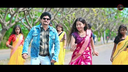 साड़ी के फॉल Sadi Ke Fall _ Cg song _ Gaurishankar Sahu _ Divya Chouhan _ Ujala Yadav _ New cg song