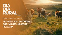 Feicorte 2025: encontro dos maiores nomes da pecuária, começa amanhã (17)