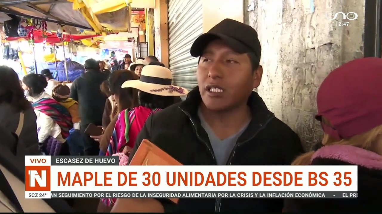 MAPLE DE HUEVO SUBIO