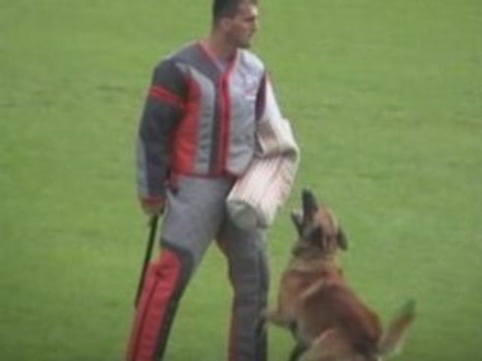 FMBB-2008-Damböck/Wolf