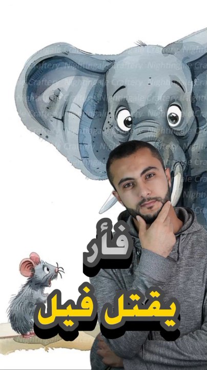 🐀 فأر يقتل فيل؟https://psce.pw/7qy3da#النواة #فأر #فيل#Alnawa #dubai🇦🇪 #dubailife #Mus #elephant #trending #travel #nature #wildlife