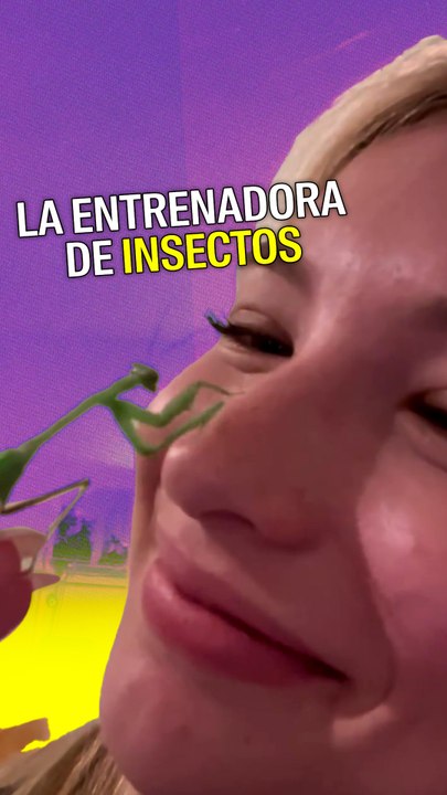 Entrenadora de insectos
