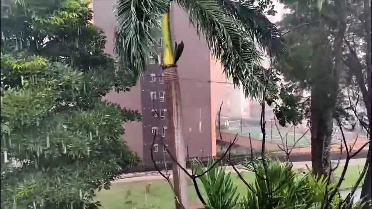 Fuertes lluvias y rafagas del viento en el sur