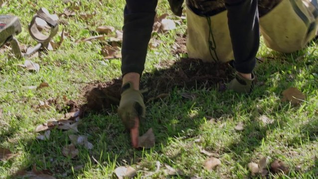 Duck Family Treasure S4EP04 Exclusive Clip