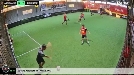 But de Andrew M - Noirland