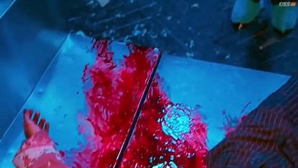 Hunter with a Scalpel (2025) Episode 1