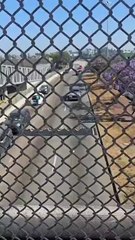 Persecución cruza la garita de Otay