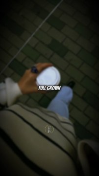 How Adults Trapped in Screen-Time Cycles Can't Pay Their Bills Yet Care Deeply About Strangers' Success