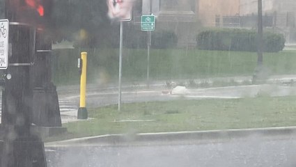Overflowing storm drains due to heavy rain