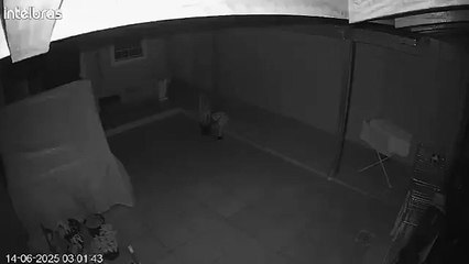 Explosão de botijão de gás em Joinville