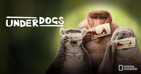 Underdogs | Tráiler oficial en inglés
