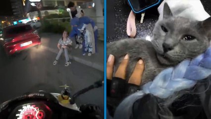 Kadın motokuryenin kalbi duran kediyi kurtarma çabası kamerada 