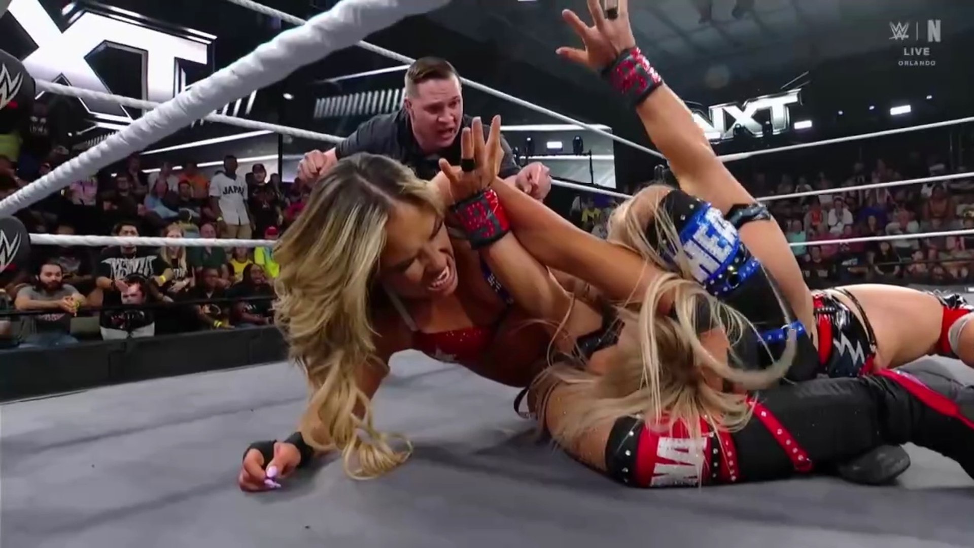 VKontakte-da ayollar mushuklarining uy qurilishi fotosuratlari