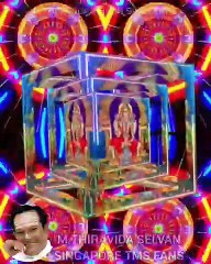 ஆதாரமா இருக்கும் மாரியம்மா TMS LEGEND M.THIRAVIDA SELVAN SINGAPORE TMS FANS 2025