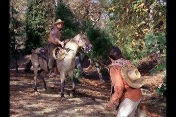 Bonanza 8x22-Amigo-HD