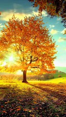 Musica gospel Amigo uma linda canção Fé