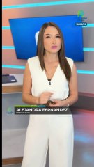 ¿Moscas contra el gusano?