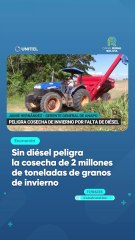 Sin diésel peligra la cosecha de 2 millones de toneladas de granos de invierno