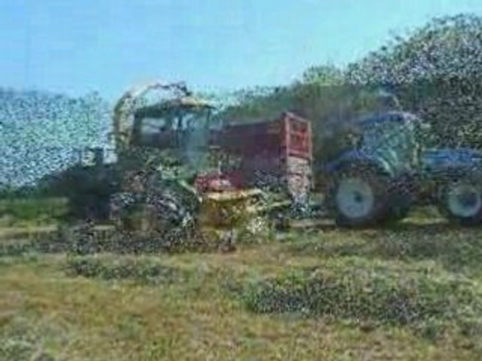 Ensilage
