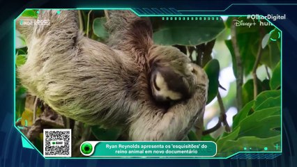 Ryan Reynolds apresenta os 'esquisitões' do reino animal em novo documentário