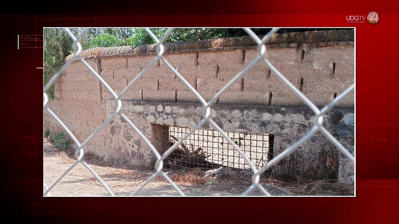 PROEPA Concluye que los Peces del Río Blanco Murieron por Falta de Oxígeno por Aguas Contaminadas
