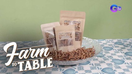 Chef JR Royol is fascinated by Bohol’s exotic Chichaworm! | Farm To Table