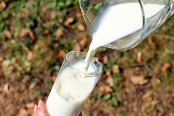 Productores lecheros enfrentan crisis tras suspensión de compras por empresas procesadoras
