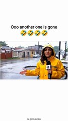 snapins-ai_3655485182347584400