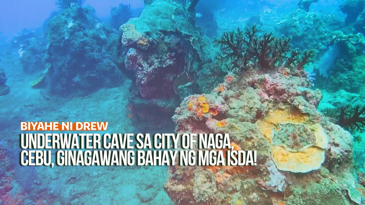 Underwater cave sa City of Naga, Cebu, ginagawang bahay ng mga isda! | Biyahe ni Drew