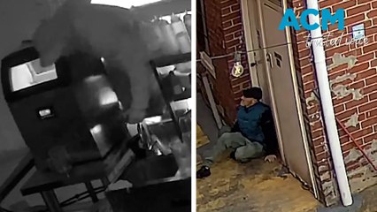 Search for man who broke into Malvern, Victoria restaurant and charity shop