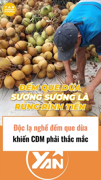 Độc lạ nghề đếm que dừa khiến CĐM thắc mắc