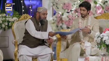 Sher Episode 9 _ Danish Taimoor _ Sarah Khan _ 146h June 2025 [ENG SUB] ARY Digital Drama _HD Review