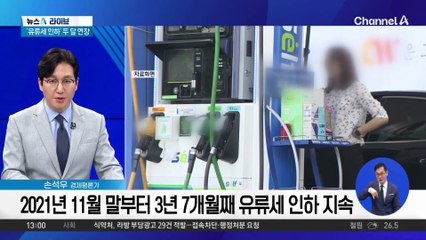 유류세 인하·반값 할인…‘물가안정 총력전’ 효과는?