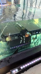 Uji Ketahanan Baterai Chery Tiggo 8 CSH.