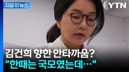 김대식 "김건희 여사 한때는 국모였는데, 얼마나 스트레스 받았겠나" [지금이뉴스] / YTN