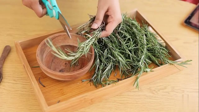 Rosemary Oil at Home to Stop Hair Fall and Regrow Thinning Hair