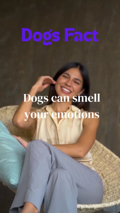 Funny Dogs Facts🤣🤣😂😺😺🐶🐶🐕🐕