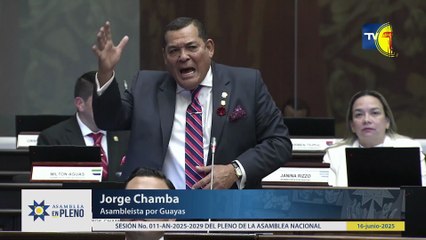JORGE CHAMBA: EL ING. LEÓN FEBRES CORDERO LOGRÓ COMBATIR AL GRUPO SUBVERSIVO ALFARO VIVE CARAJO